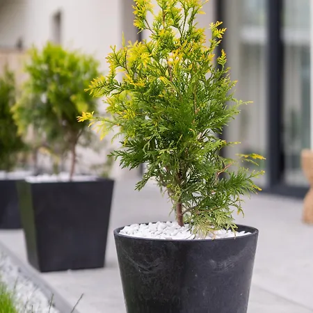 Amber & Calm Euronia Lejlighed